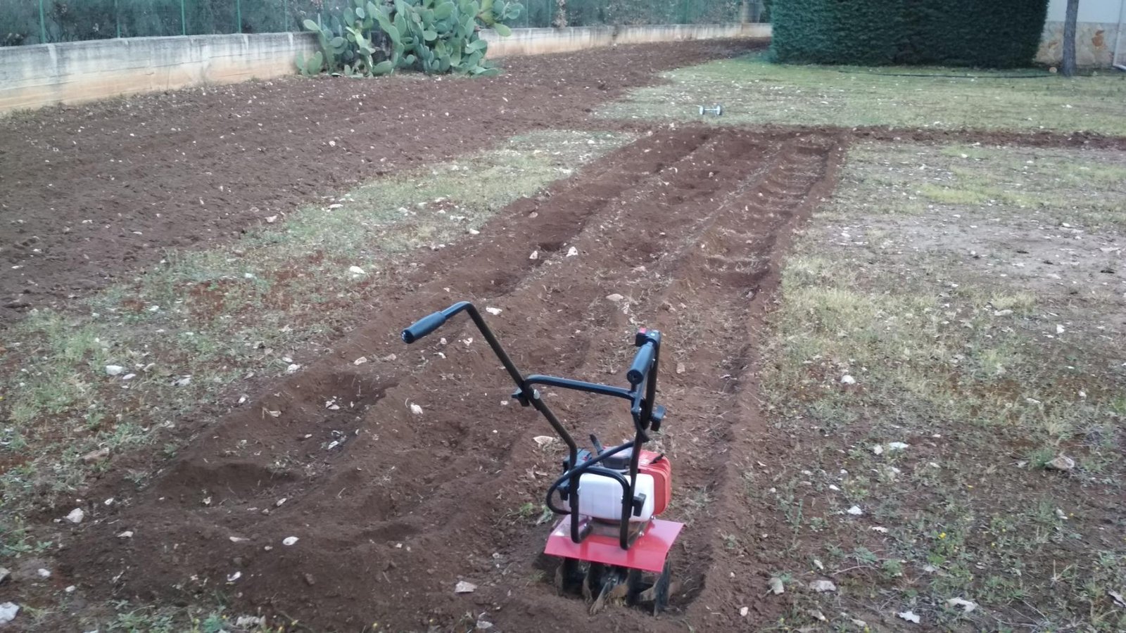 Motozappa JHONSORR in giardino